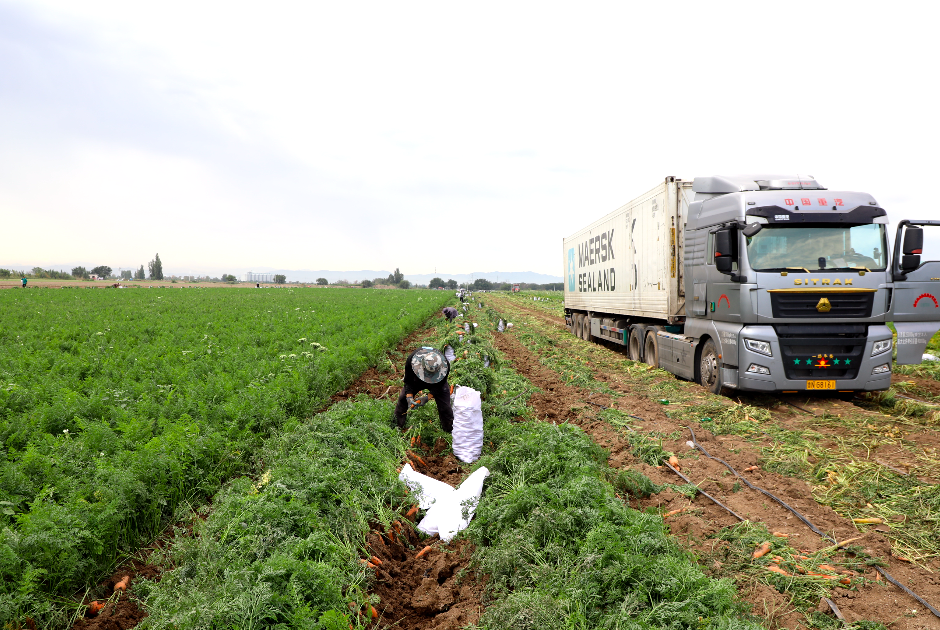 有他們幫忙，三坪農場農產品不愁賣！