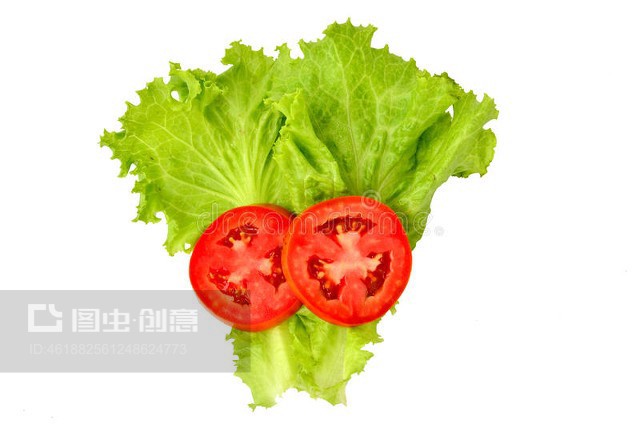 生菜配番茄架 現(xiàn)代農(nóng)業(yè)的創(chuàng)意組合與高效種植